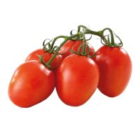 Organic tomatoes (in various kinds)
