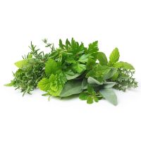 Herbs ( Parsley, Basil, Dill, Thyme, Sage...)