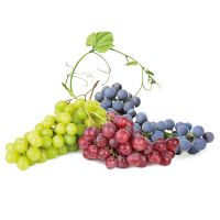 Grapes (bright, red, dark)