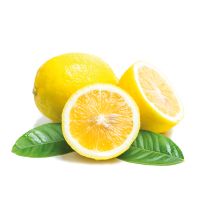 Organik Limon